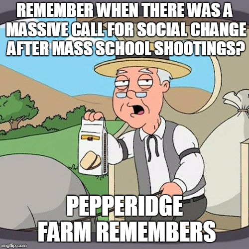Pepperidge Farm Remembers | REMEMBER WHEN THERE WAS A MASSIVE CALL FOR SOCIAL CHANGE AFTER MASS SCHOOL SHOOTINGS? PEPPERIDGE FARM REMEMBERS | image tagged in memes,pepperidge farm remembers | made w/ Imgflip meme maker
