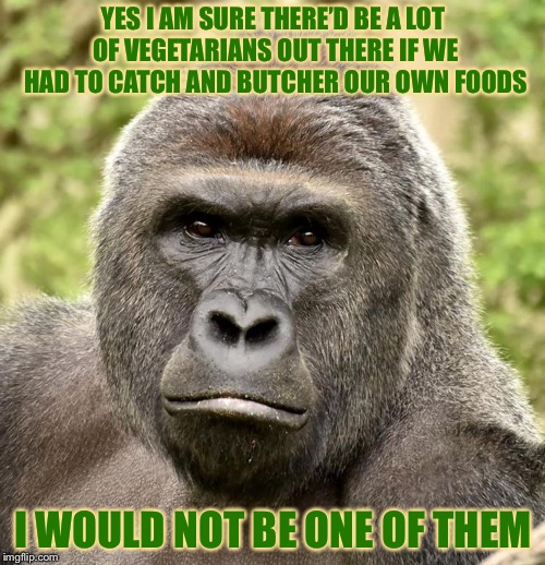 Har | YES I AM SURE THERE’D BE A LOT OF VEGETARIANS OUT THERE IF WE HAD TO CATCH AND BUTCHER OUR OWN FOODS I WOULD NOT BE ONE OF THEM | image tagged in har | made w/ Imgflip meme maker