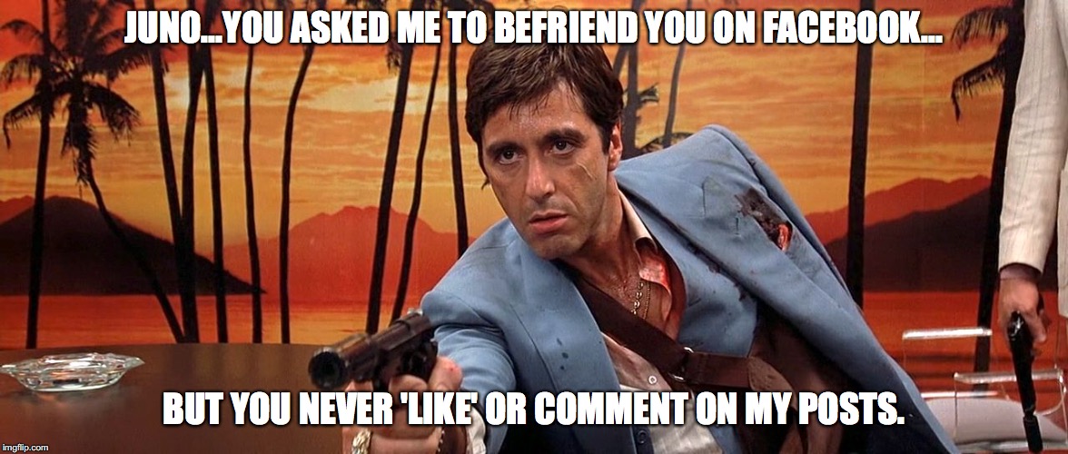 JUNO...YOU ASKED ME TO BEFRIEND YOU ON FACEBOOK... BUT YOU NEVER 'LIKE' OR COMMENT ON MY POSTS. | image tagged in tony | made w/ Imgflip meme maker