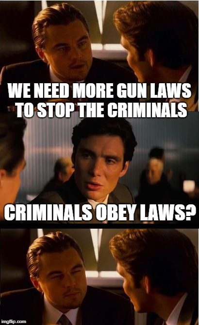 Logic Fail 101 | WE NEED MORE GUN LAWS TO STOP THE CRIMINALS; CRIMINALS OBEY LAWS? | image tagged in memes,inception,funny,fail,guns | made w/ Imgflip meme maker