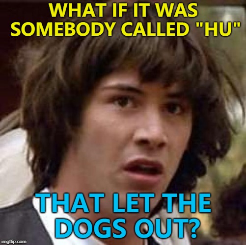 Maybe they were telling us all along... :) | WHAT IF IT WAS SOMEBODY CALLED "HU"; THAT LET THE DOGS OUT? | image tagged in memes,conspiracy keanu,who let the dogs out,music | made w/ Imgflip meme maker