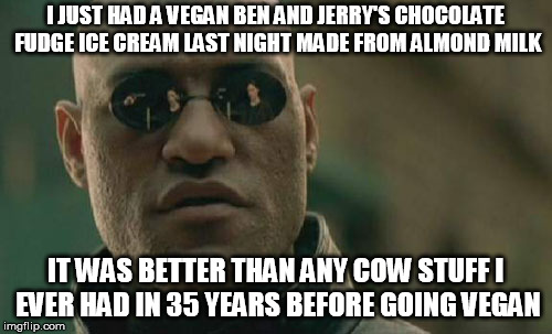 Matrix Morpheus Meme | I JUST HAD A VEGAN BEN AND JERRY'S CHOCOLATE FUDGE ICE CREAM LAST NIGHT MADE FROM ALMOND MILK IT WAS BETTER THAN ANY COW STUFF I EVER HAD IN | image tagged in memes,matrix morpheus | made w/ Imgflip meme maker