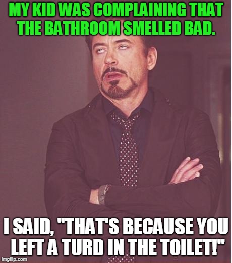 Face You Make Robert Downey Jr Meme | MY KID WAS COMPLAINING THAT THE BATHROOM SMELLED BAD. I SAID, "THAT'S BECAUSE YOU LEFT A TURD IN THE TOILET!" | image tagged in memes,face you make robert downey jr | made w/ Imgflip meme maker
