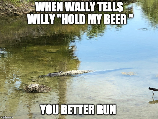 Gator  | WHEN WALLY TELLS WILLY "HOLD MY BEER "; YOU BETTER RUN | image tagged in florida | made w/ Imgflip meme maker