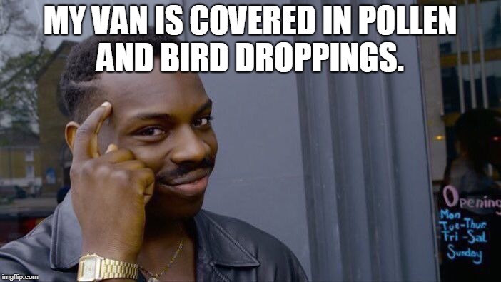 Roll Safe Think About It Meme | MY VAN IS COVERED IN POLLEN AND BIRD DROPPINGS. | image tagged in memes,roll safe think about it | made w/ Imgflip meme maker