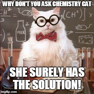 WHY DON'T YOU ASK CHEMISTRY CAT SHE SURELY HAS THE SOLUTION! | made w/ Imgflip meme maker