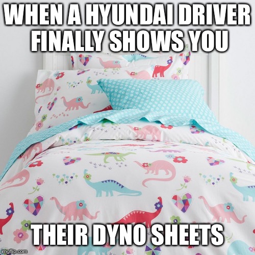 Hyundai Dyno Sheet | WHEN A HYUNDAI DRIVER FINALLY SHOWS YOU; THEIR DYNO SHEETS | image tagged in hyundai,power,dyno,sheet | made w/ Imgflip meme maker