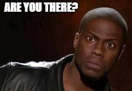 Kevin Hart Meme | ARE YOU THERE? | image tagged in memes,kevin hart the hell | made w/ Imgflip meme maker