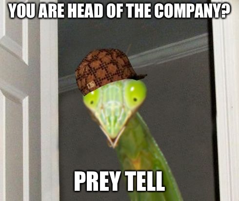 Scumbag Mantis | YOU ARE HEAD OF THE COMPANY? PREY TELL | image tagged in scumbag mantis | made w/ Imgflip meme maker