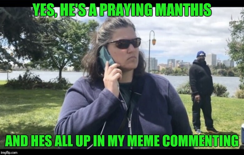 YES, HE'S A PRAYING MANTHIS AND HES ALL UP IN MY MEME COMMENTING | made w/ Imgflip meme maker