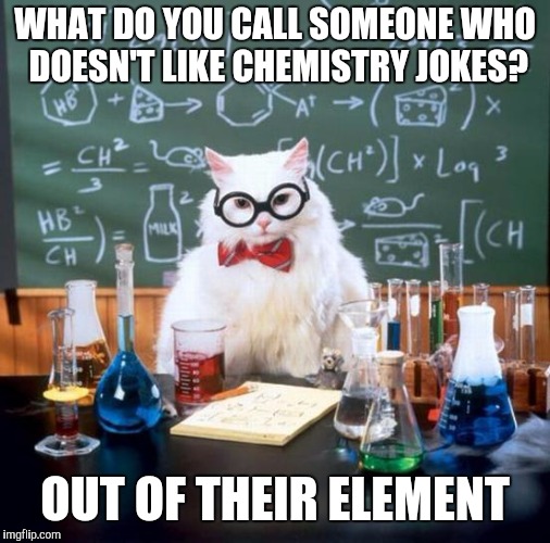 Chemistry Cat | WHAT DO YOU CALL SOMEONE WHO DOESN'T LIKE CHEMISTRY JOKES? OUT OF THEIR ELEMENT | image tagged in memes,chemistry cat | made w/ Imgflip meme maker