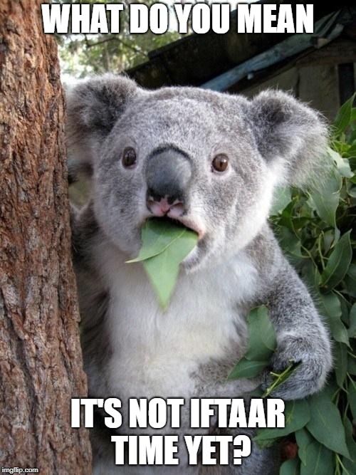 Surprised Koala | WHAT DO YOU MEAN; IT'S NOT IFTAAR TIME YET? | image tagged in surprised koala | made w/ Imgflip meme maker