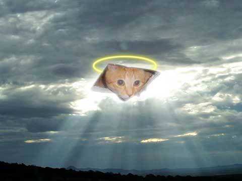 ceiling cat in the clouds Blank Meme Template