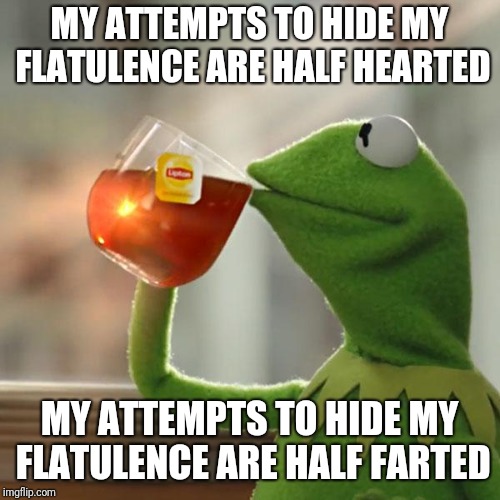 But That's None Of My Business Meme | MY ATTEMPTS TO HIDE MY FLATULENCE ARE HALF HEARTED; MY ATTEMPTS TO HIDE MY FLATULENCE ARE HALF FARTED | image tagged in memes,but thats none of my business,kermit the frog | made w/ Imgflip meme maker