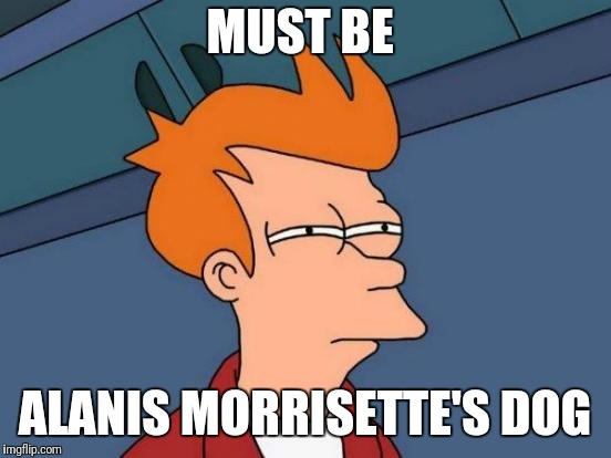 Futurama Fry Meme | MUST BE ALANIS MORRISETTE'S DOG | image tagged in memes,futurama fry | made w/ Imgflip meme maker