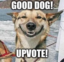 GOOD DOG! UPVOTE! | made w/ Imgflip meme maker
