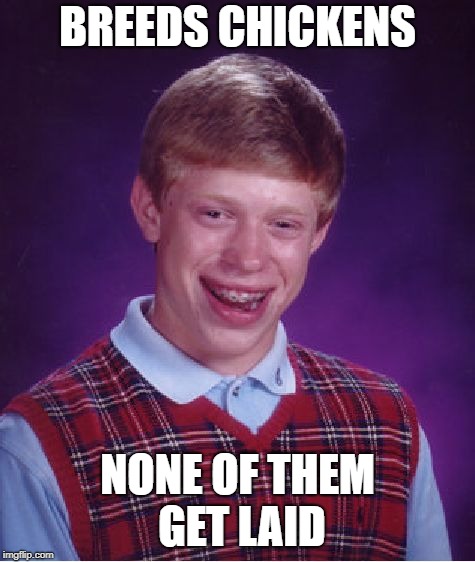 Bad Luck Brian Meme | BREEDS CHICKENS NONE OF THEM GET LAID | image tagged in memes,bad luck brian | made w/ Imgflip meme maker