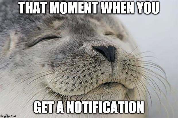 Satisfied Seal | THAT MOMENT WHEN YOU; GET A NOTIFICATION | image tagged in memes,satisfied seal | made w/ Imgflip meme maker