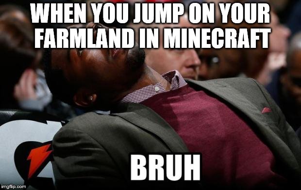 Bruh | WHEN YOU JUMP ON YOUR FARMLAND IN MINECRAFT | image tagged in bruh | made w/ Imgflip meme maker