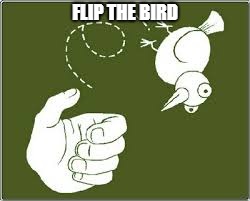 Flip the bird | FLIP THE BIRD | image tagged in flip the bird | made w/ Imgflip meme maker