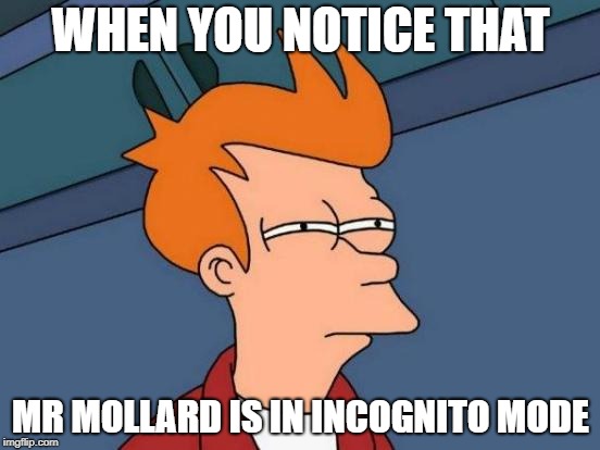 Futurama Fry Meme |  WHEN YOU NOTICE THAT; MR MOLLARD IS IN INCOGNITO MODE | image tagged in memes,futurama fry | made w/ Imgflip meme maker