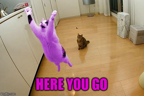 RayCat save the world | HERE YOU GO | image tagged in raycat save the world | made w/ Imgflip meme maker