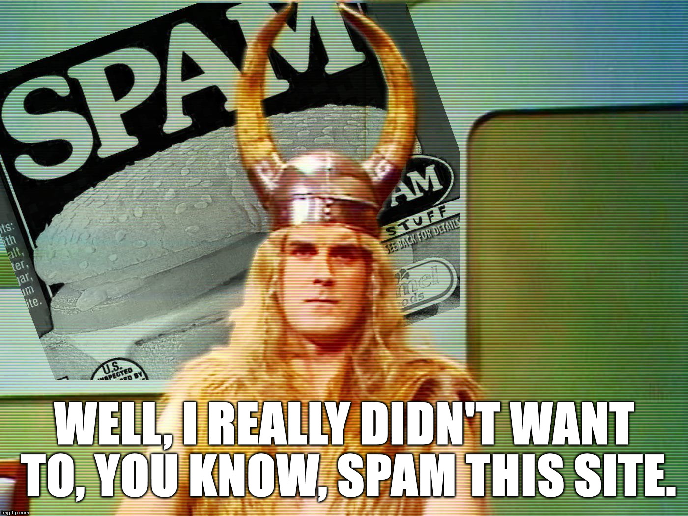 WELL, I REALLY DIDN'T WANT TO, YOU KNOW, SPAM THIS SITE. | made w/ Imgflip meme maker