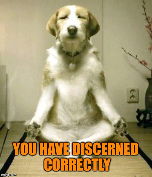 YOU HAVE DISCERNED CORRECTLY | made w/ Imgflip meme maker