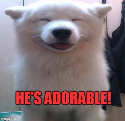 HE'S ADORABLE! | made w/ Imgflip meme maker