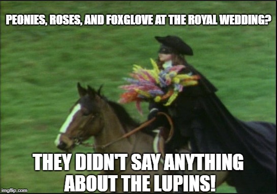 Dennis Moore Rides Again! | PEONIES, ROSES, AND FOXGLOVE AT THE ROYAL WEDDING? THEY DIDN'T SAY ANYTHING ABOUT THE LUPINS! | image tagged in monty python,royal wedding,john cleese | made w/ Imgflip meme maker
