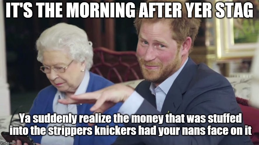 Royal Stag | IT'S THE MORNING AFTER YER STAG; Ya suddenly realize the money that was stuffed into the strippers knickers had your nans face on it | image tagged in prince harry | made w/ Imgflip meme maker