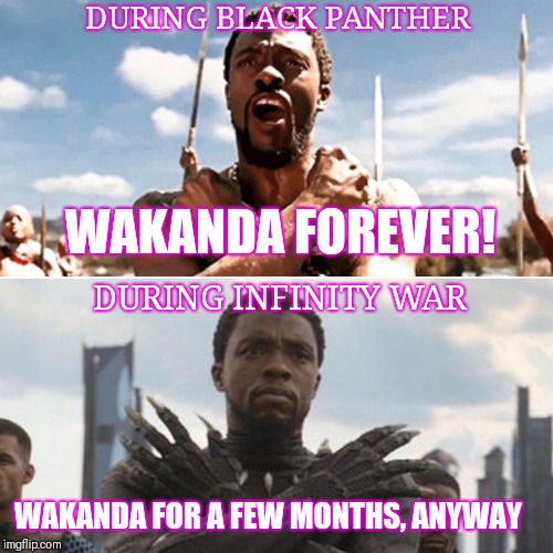 Wakanda maybe not quite forever | DURING BLACK PANTHER; WAKANDA FOREVER! DURING INFINITY WAR; WAKANDA FOR A FEW MONTHS, ANYWAY | image tagged in black panther,wakanda,avengers,infinity war | made w/ Imgflip meme maker