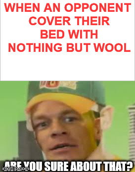 WHEN AN OPPONENT COVER THEIR BED WITH NOTHING BUT WOOL; ARE YOU SURE ABOUT THAT? | image tagged in are you sure,bed wars,minecraft,memes,funny,video games | made w/ Imgflip meme maker