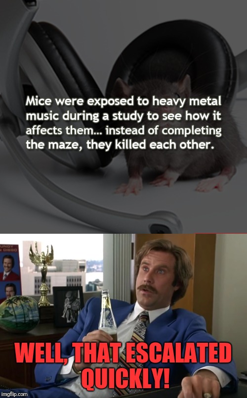 Mice Lives Matter! | WELL, THAT ESCALATED QUICKLY! | image tagged in memes,funny,dank,science,brutal | made w/ Imgflip meme maker