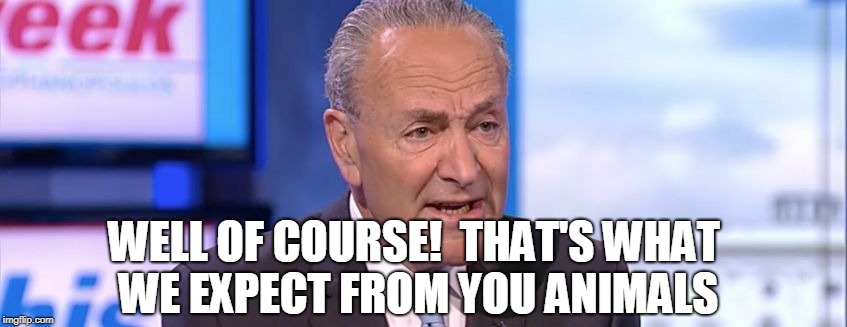 Vote Democrat | WELL OF COURSE!  THAT'S WHAT WE EXPECT FROM YOU ANIMALS | image tagged in upchuck shoo elmers glue,chuck schumer memes | made w/ Imgflip meme maker