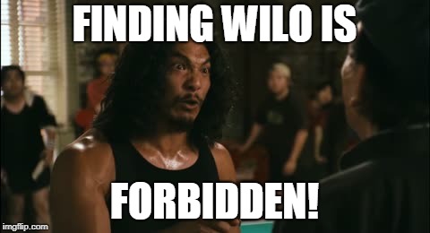 wilo | FINDING WILO IS FORBIDDEN! | image tagged in wilo | made w/ Imgflip meme maker