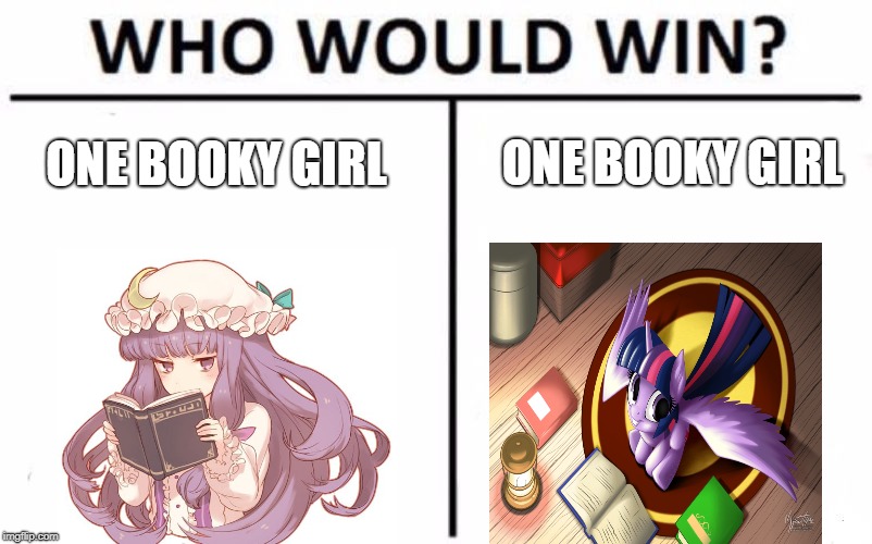 Battle of the libraries ! | ONE BOOKY GIRL; ONE BOOKY GIRL | image tagged in memes,who would win,touhou,my little pony | made w/ Imgflip meme maker