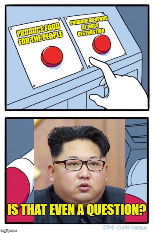 Two Buttons North Korea Style | PRODUCE WEAPONS OF MASS DESTRUCTION; PRODUCE FOOD FOR THE PEOPLE; IS THAT EVEN A QUESTION? | image tagged in memes,two buttons,north korea,kim jong un | made w/ Imgflip meme maker