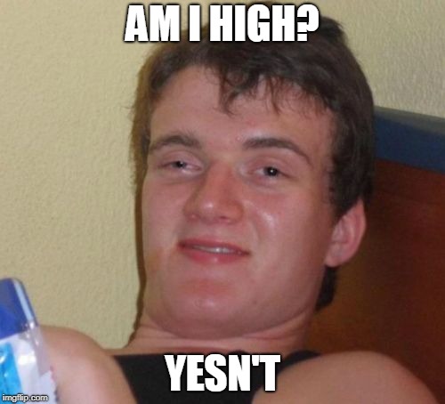 10 Guy Meme | AM I HIGH? YESN'T | image tagged in memes,10 guy | made w/ Imgflip meme maker