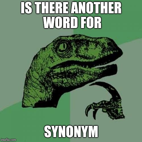 Philosoraptor | IS THERE ANOTHER WORD FOR; SYNONYM | image tagged in memes,philosoraptor | made w/ Imgflip meme maker