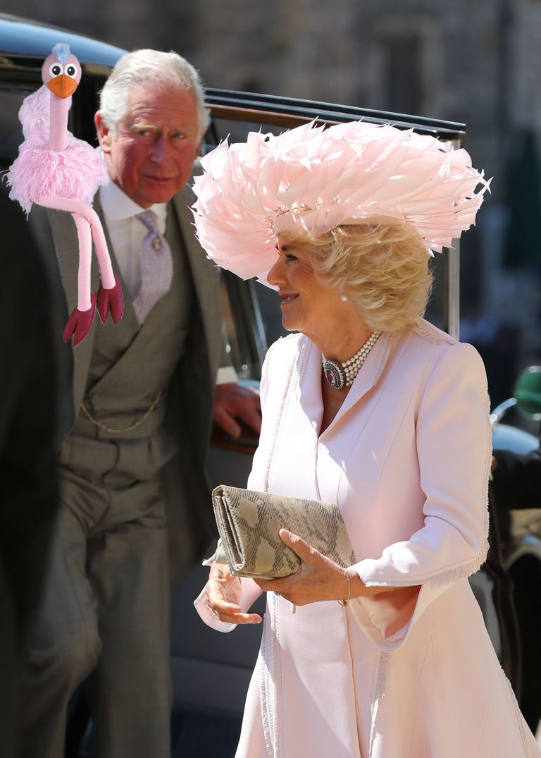 Ossie Ostrich Wants His Feathers Back Camilla Blank Meme Template