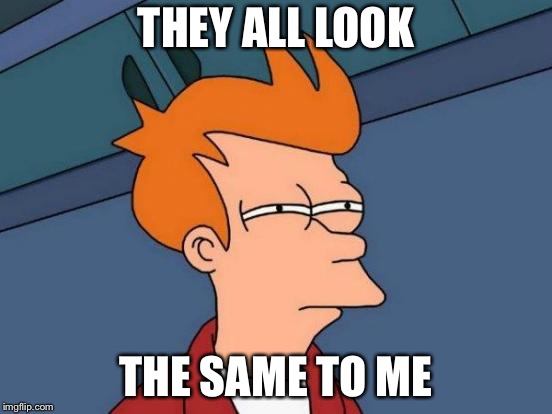 Futurama Fry Meme | THEY ALL LOOK THE SAME TO ME | image tagged in memes,futurama fry | made w/ Imgflip meme maker