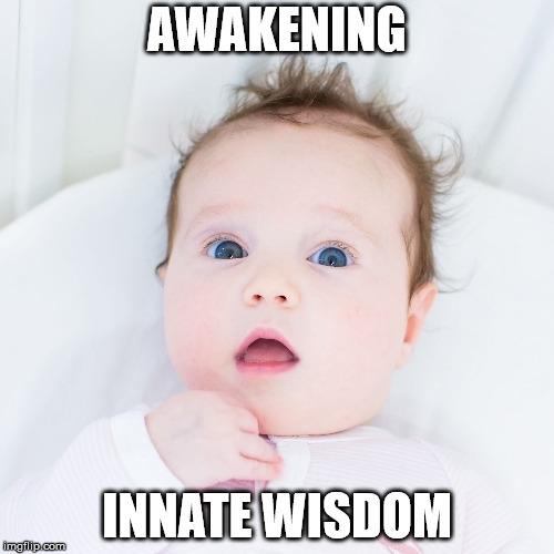 Birthright | AWAKENING; INNATE WISDOM | image tagged in attention,helping,healing,awareness,serenity | made w/ Imgflip meme maker