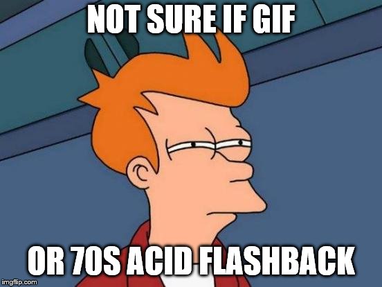 Futurama Fry Meme | NOT SURE IF GIF OR 70S ACID FLASHBACK | image tagged in memes,futurama fry | made w/ Imgflip meme maker