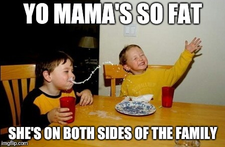 Yo Mamas So Fat | YO MAMA'S SO FAT; SHE'S ON BOTH SIDES OF THE FAMILY | image tagged in memes,yo mamas so fat | made w/ Imgflip meme maker