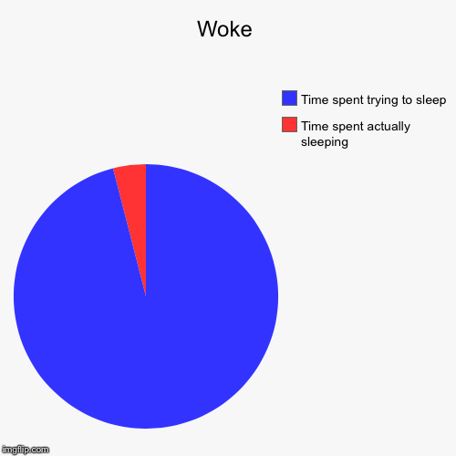 Woke | Time spent actually sleeping, Time spent trying to sleep | image tagged in funny,pie charts | made w/ Imgflip chart maker