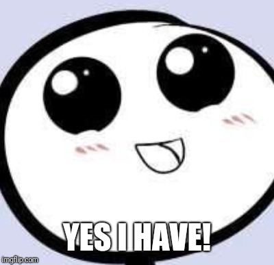 YES I HAVE! | made w/ Imgflip meme maker