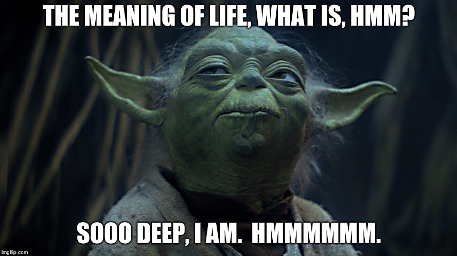 deep yoda is, hmm? | THE MEANING OF LIFE, WHAT IS, HMM? SOOO DEEP, I AM.  HMMMMMM. | image tagged in star wars yoda,the meaning of life | made w/ Imgflip meme maker