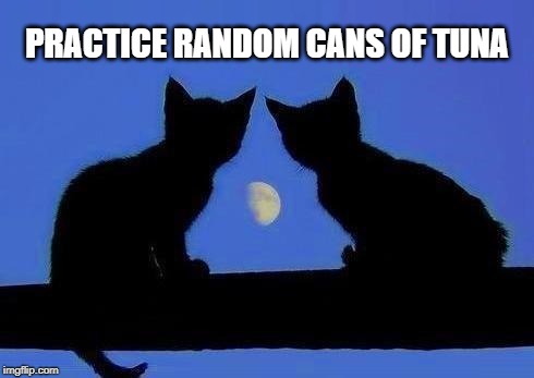  PRACTICE RANDOM CANS OF TUNA | image tagged in cats and the moon,funny cats,kindness,cat breath,tuna,krusty krab | made w/ Imgflip meme maker