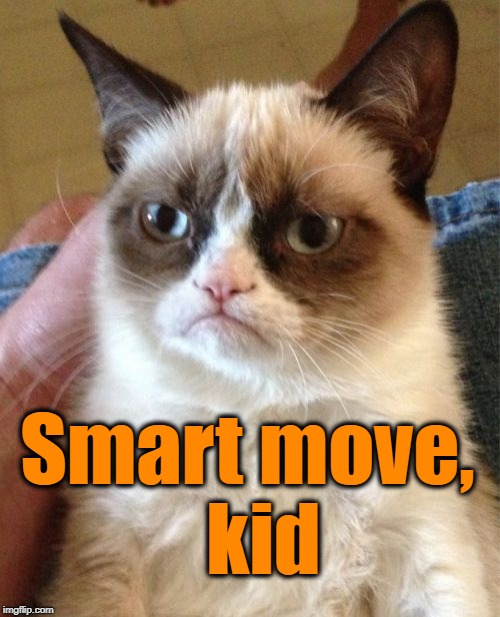 Grumpy Cat Meme | Smart move,  kid | image tagged in memes,grumpy cat | made w/ Imgflip meme maker